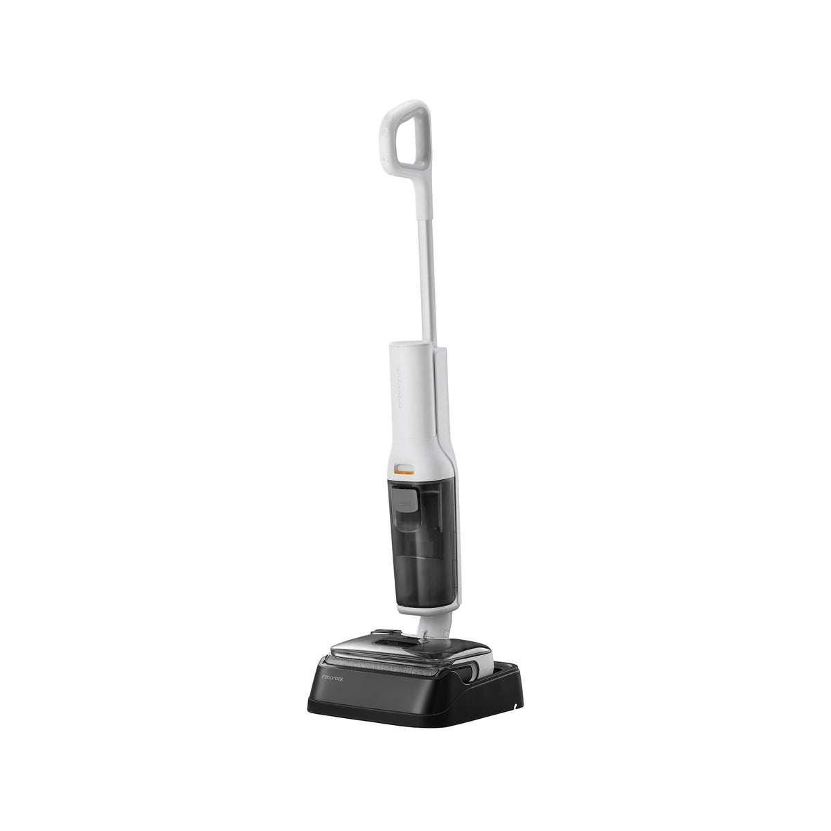 Roborock F25 RT