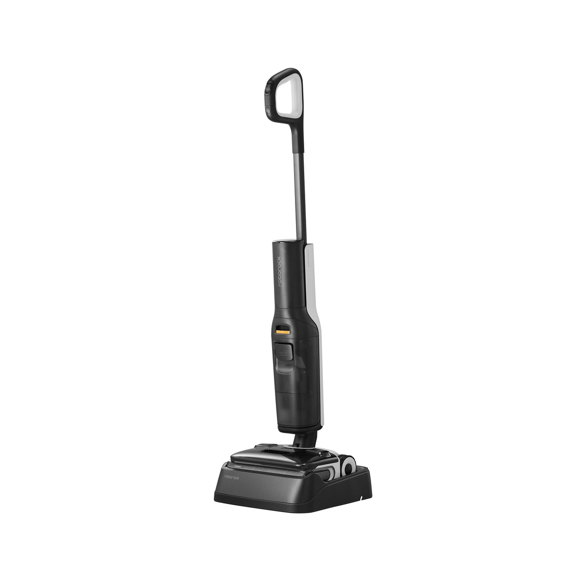 Roborock F25 ACE